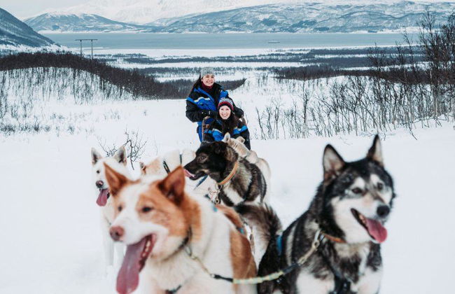 Trineo de huskies en un paraíso invernal - Excursión de medio día - Foto 2