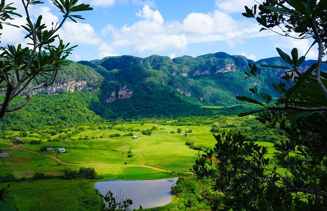 Viñales Excursion - Foto 1