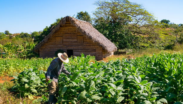 Excursion à Viñales - Photo 2