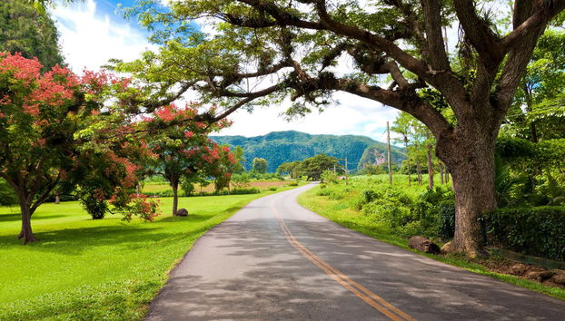 Excursion à Viñales - Photo 5