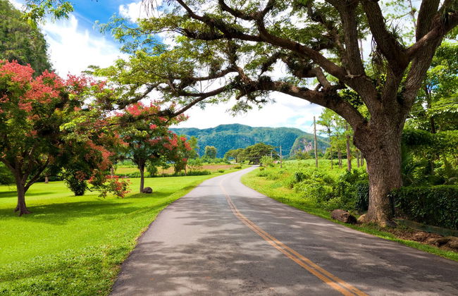 Viñales Excursion - Foto 5