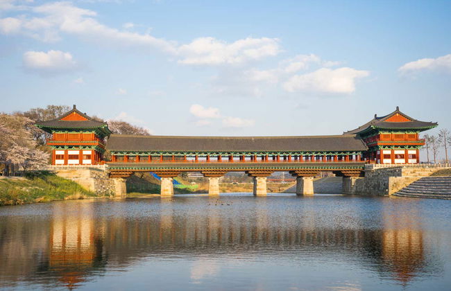 Escursione a Gyeongju - Foto 4