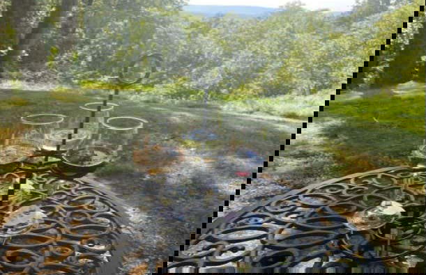 Virginia Wineries Tour - Photo 4