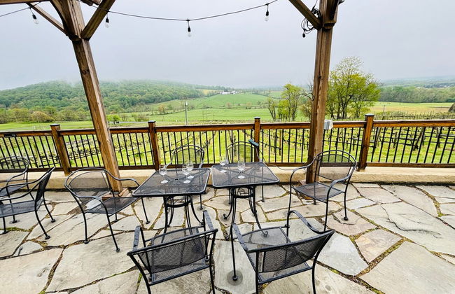 Virginia Wineries Tour - Foto 2