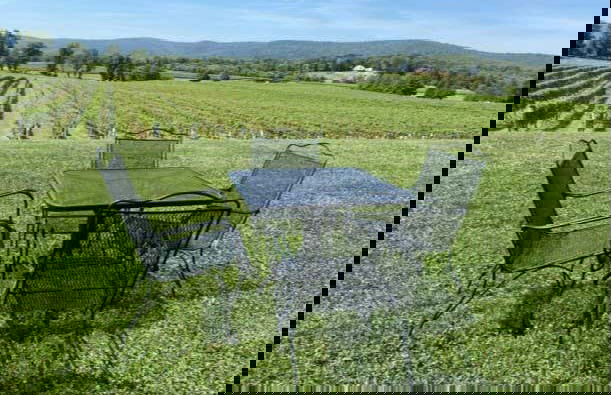 Virginia Wineries Tour - Photo 5