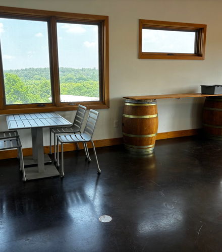 Foto de Tour de viñedos y bodegas por Virginia