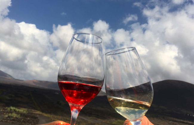 Tour por los viñedos del volcán Guardilama + Cata en las Bodegas Rubicón - Foto 7