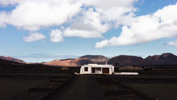 Tour por los viñedos del volcán Guardilama + Cata en las Bodegas Rubicón - Foto 4