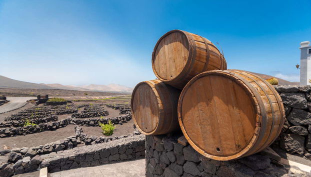 Tour por los viñedos del volcán Guardilama + Cata en las Bodegas Rubicón - Foto 5