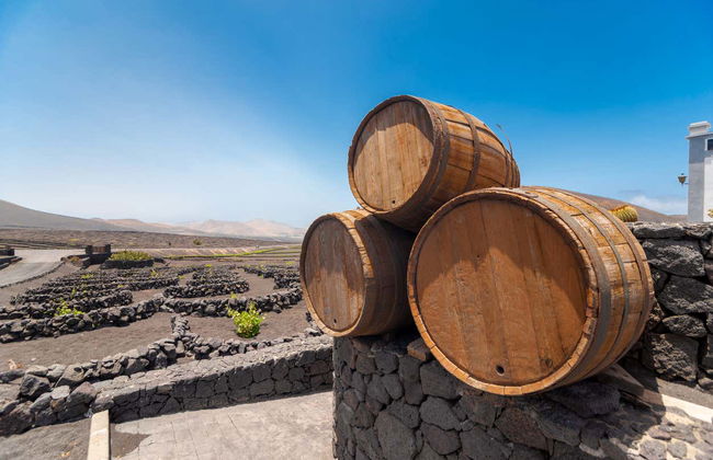 Tour por los viñedos del volcán Guardilama + Cata en las Bodegas Rubicón - Foto 5