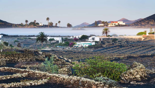 Tour por los viñedos del volcán Guardilama + Cata en las Bodegas Rubicón - Foto 2