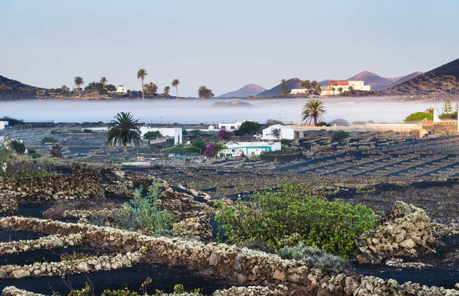 Tour por los viñedos del volcán Guardilama + Cata en las Bodegas Rubicón - Foto 2