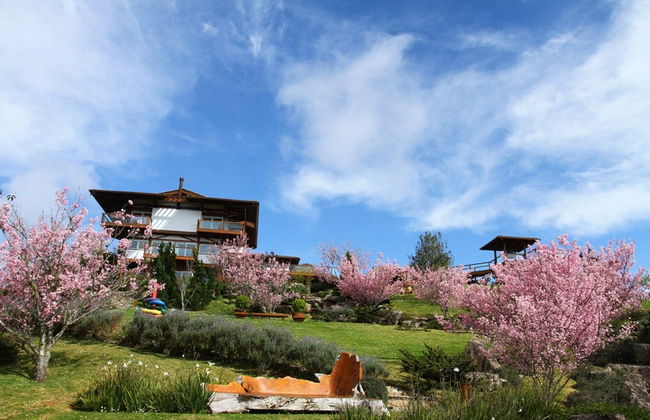 Tour ao entardecer pelo Prana Park - Foto 6