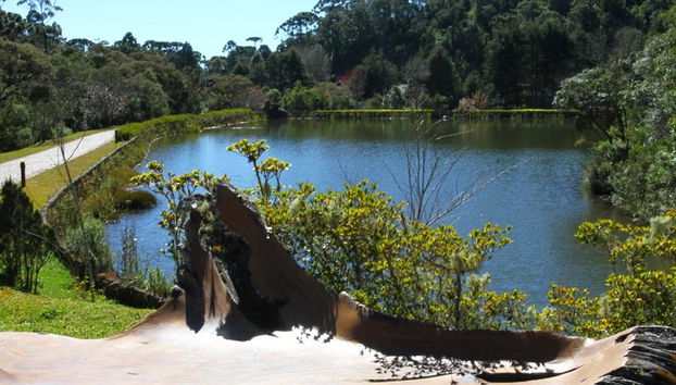 Tour ao entardecer pelo Prana Park - Foto 5