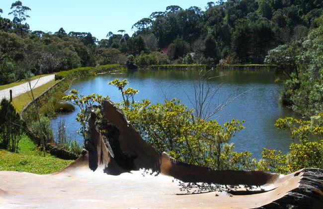 Tour ao entardecer pelo Prana Park - Foto 5