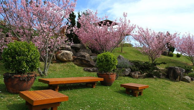 Tour ao entardecer pelo Prana Park - Foto 4