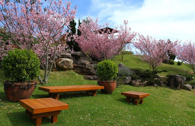 Tour ao entardecer pelo Prana Park - Foto 4