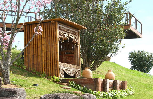 Tour ao entardecer pelo Prana Park - Foto 3