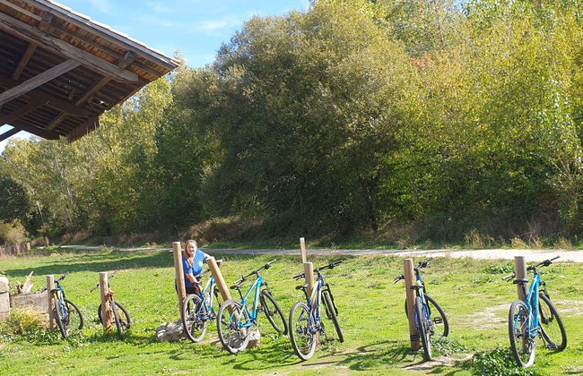 Tour en bicicleta por la Vía Verde de la Plata - Foto 4