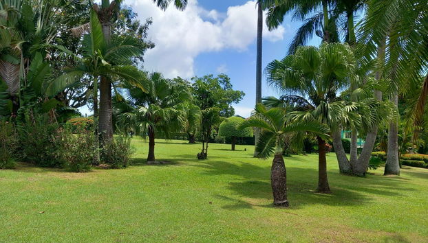 Excursión a Fort Shirley y Jardín Botánico de Dominica - Foto 2