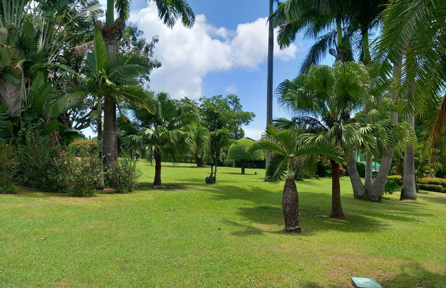 Excursión a Fort Shirley y Jardín Botánico de Dominica - Foto 2