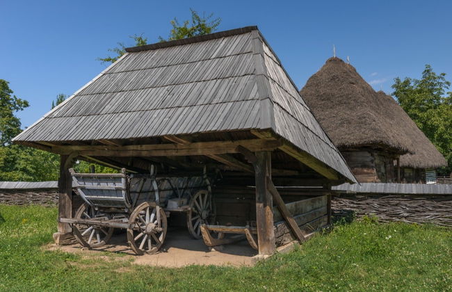 Visita guiada por el Museo del Pueblo y el Parque Herastrau - Foto 4