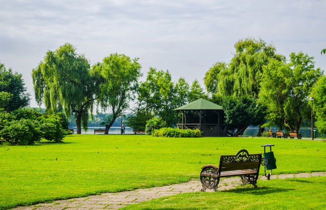 Visita guidata del Museo del Villaggio e del Parco Herastrau - Foto 7