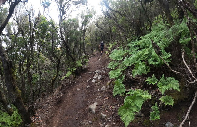 Senderismo por el interior del Parque Rural de Teno - Foto 3