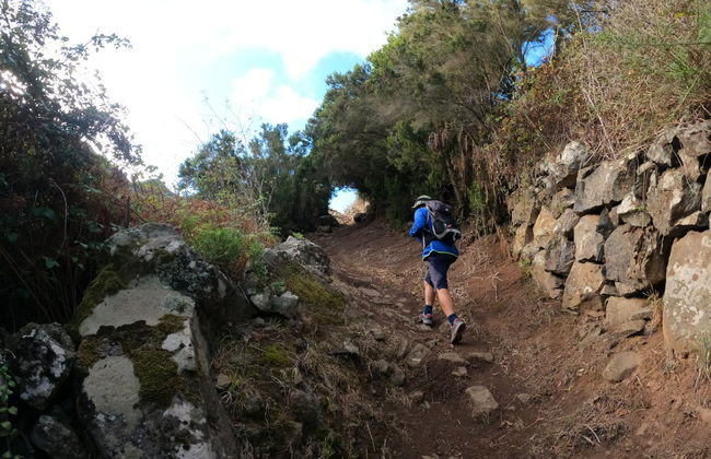 Senderismo por el interior del Parque Rural de Teno - Foto 7