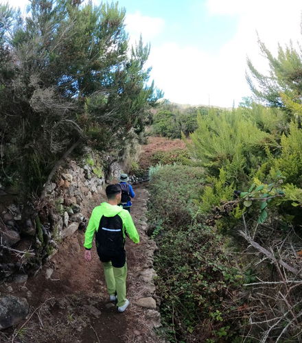 Foto de Senderismo por el interior del Parque Rural de Teno