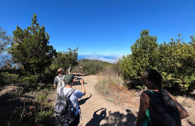 Senderismo por el interior del Parque Rural de Teno - Foto 16