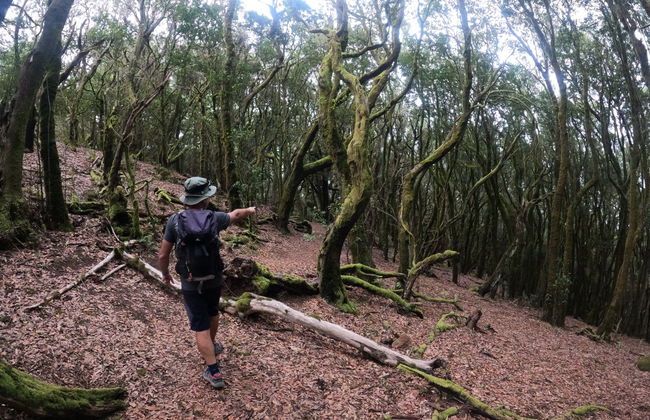 Senderismo por el interior del Parque Rural de Teno - Foto 2