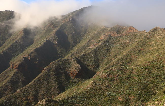 Senderismo por el interior del Parque Rural de Teno - Foto 21