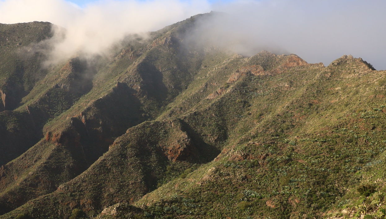 Randonnée dans le parc naturel de Teno