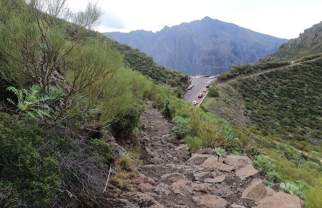 Senderismo por el interior del Parque Rural de Teno - Foto 13