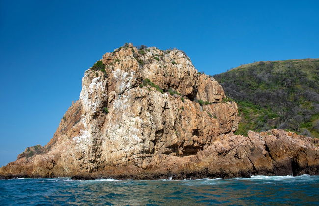 Avistamiento de delfines en Knysna - Foto 7