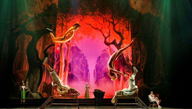 Biglietti per Cirque du Soleil Drawn to Life - Foto 4