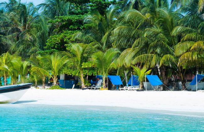Paseo privado en lancha por Cayo Acuario - Foto 8