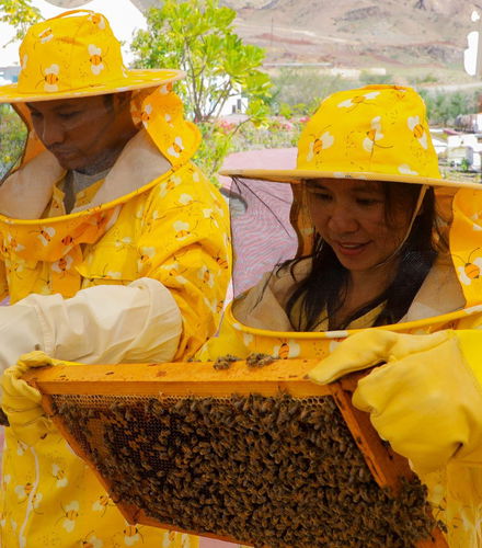 Foto de Entrada a Hatta Honey Bee Discovery Centre