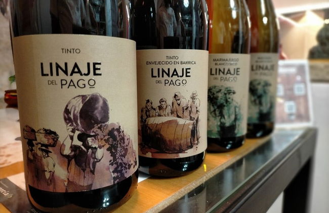 Free tour del vino en El Sauzal - Foto 7