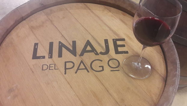 El Sauzal Free Wine Tour - Foto 3