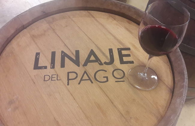 El Sauzal Free Wine Tour - Foto 3