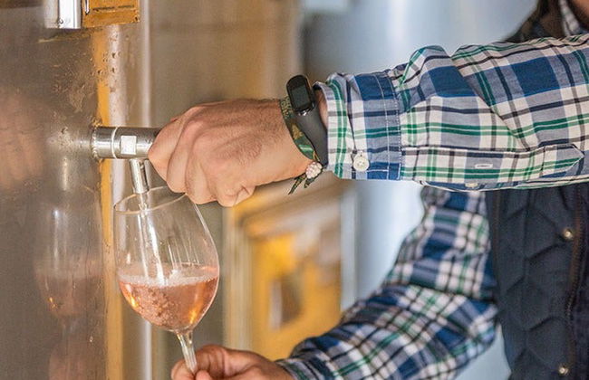 Free tour del vino en El Sauzal - Foto 6