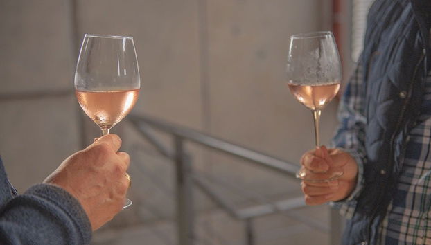 El Sauzal Free Wine Tour - Foto 4