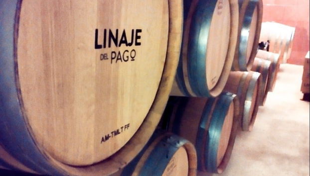 El Sauzal Free Wine Tour - Foto 5
