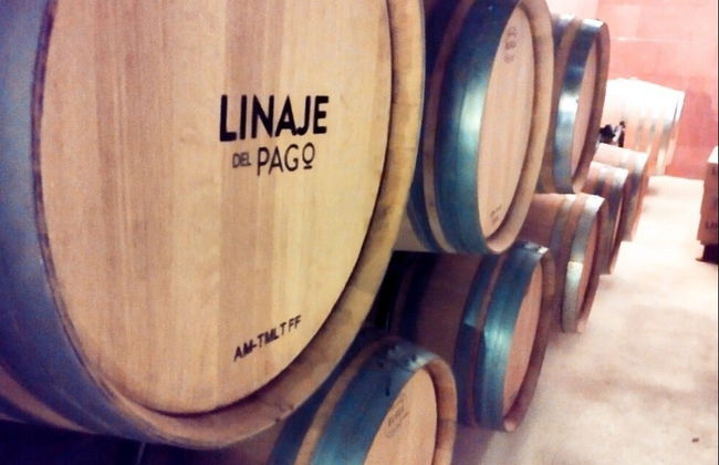 El Sauzal Free Wine Tour - Foto 5