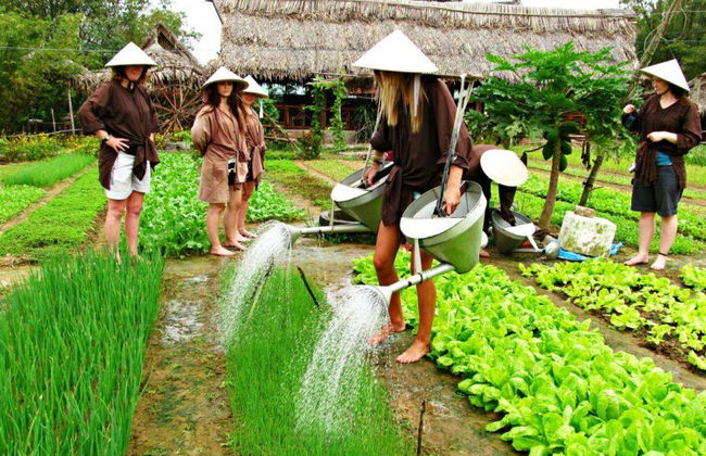 Tra Que Vegetable Village From Danang City - Full-Day Tour - Foto 2