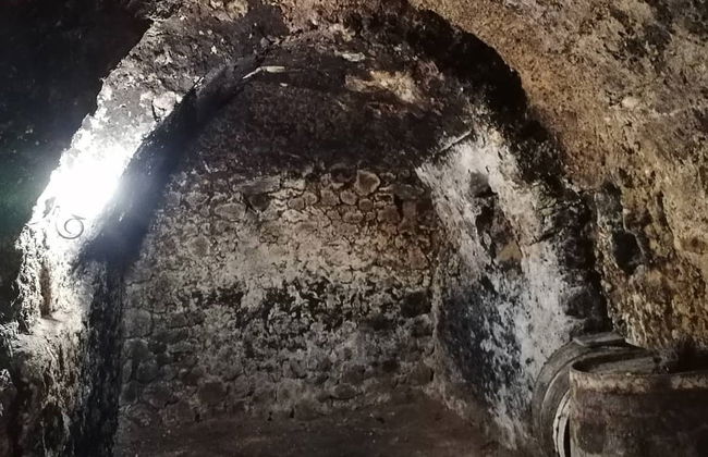Visita a la bodega subterránea La Cárcel - Photo 3