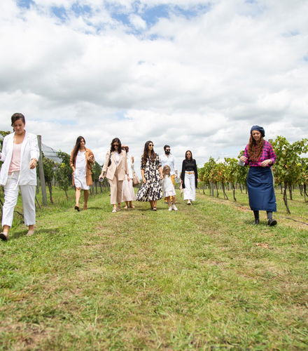 Foto de Visita a la bodega Gamboa