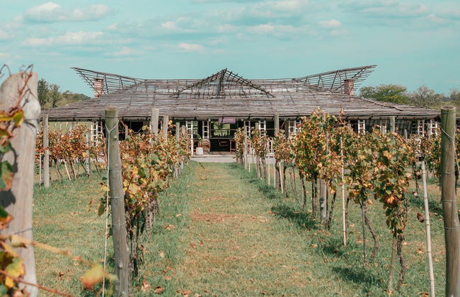 Visita a la bodega Gamboa - Foto 8